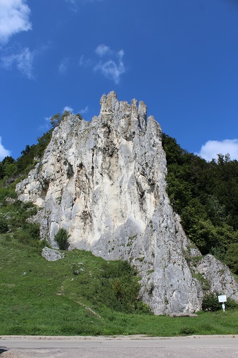 Bild Dohlenfelsen bei Konstein